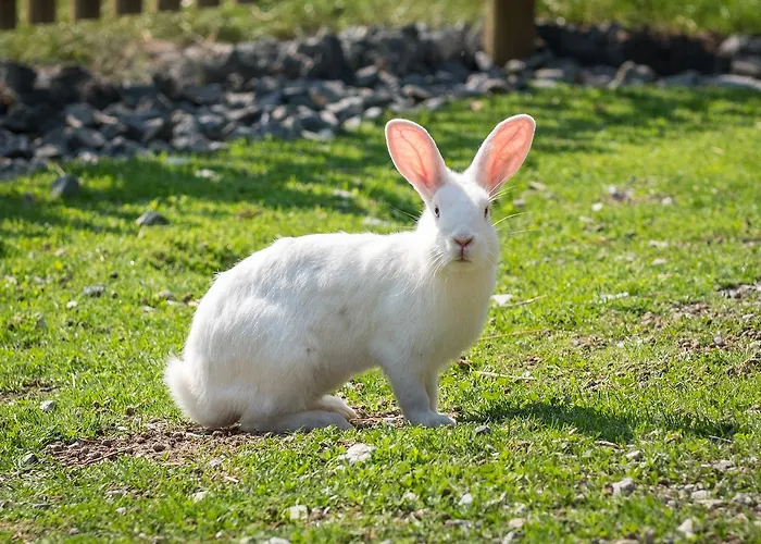 Landhof Apart-hotel 4*