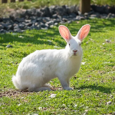 Landhof Apart-hotel 4*