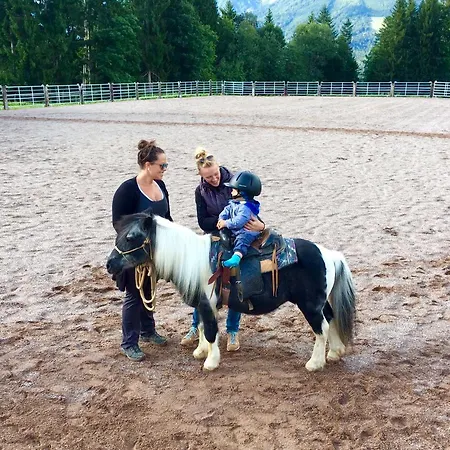 Apart-hotel Landhof Ellmau